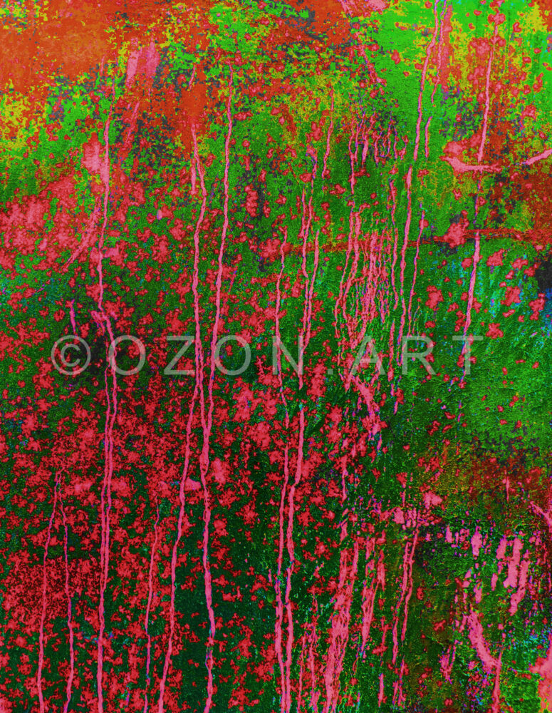 20240212-IMG_20240212_124136.xtiff