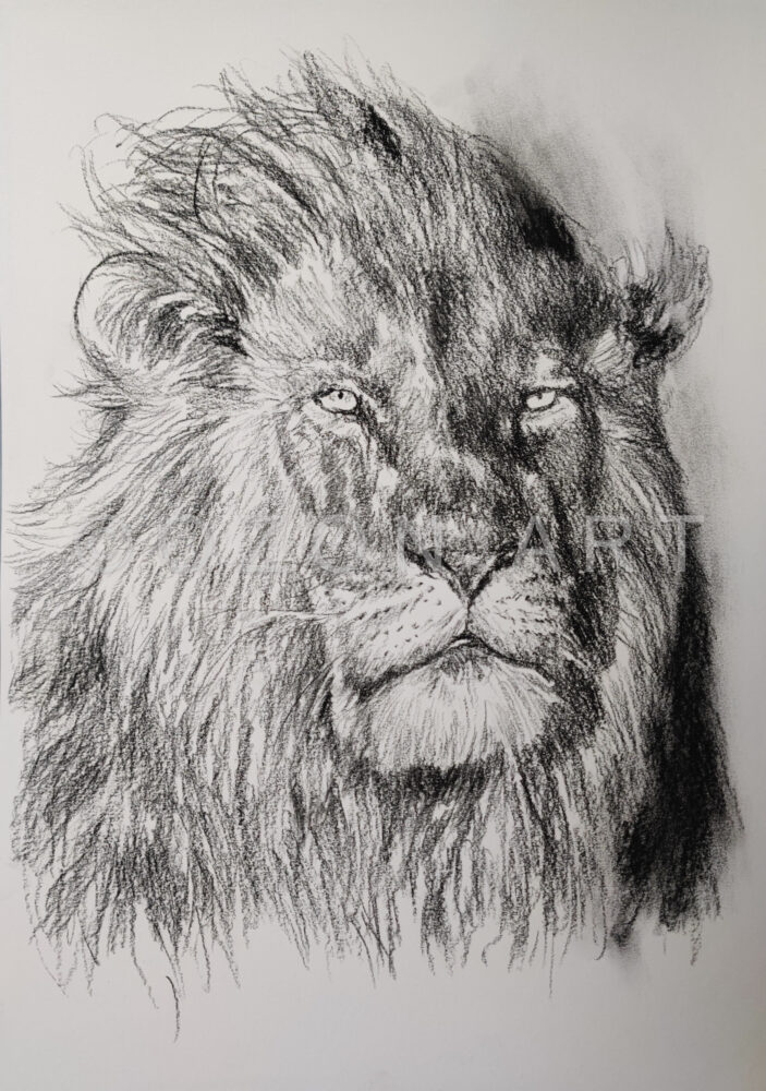 20250217-IMG_20250217_224404