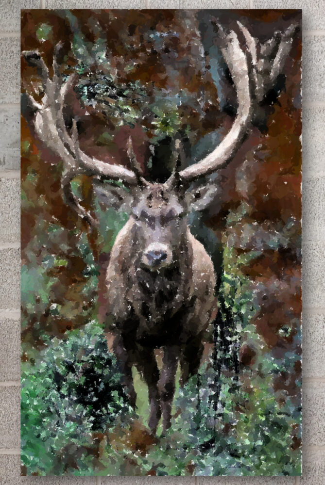 20251117-20251110-GEMÄLDE OZON 10-2